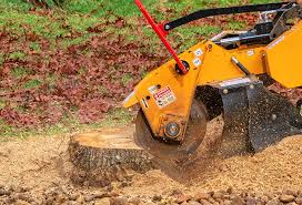 Moon Lake, FL Tree Removal Pros