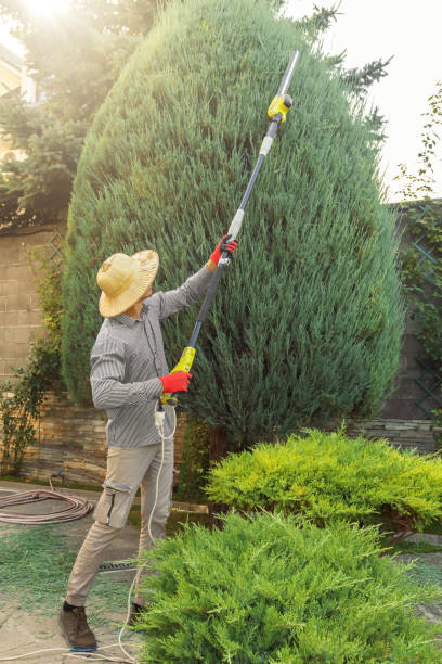 Best Lawn Grading and Leveling  in Moon Lake, FL